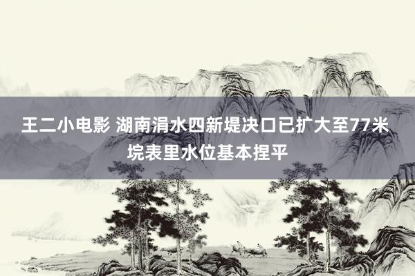 王二小电影 湖南涓水四新堤决口已扩大至77米 垸表里水位基本捏平