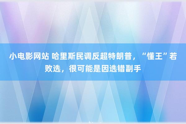 小电影网站 哈里斯民调反超特朗普，“懂王”若败选，很可能是因选错副手