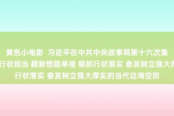 黄色小电影  习近平在中共中央政事局第十六次集体学习时强调 强化行状担当 翻新想路举措 狠抓行状落实 奋发树立强大厚实的当代边海空防