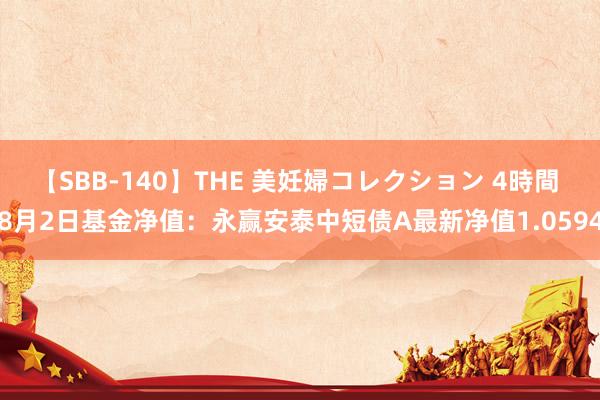 【SBB-140】THE 美妊婦コレクション 4時間 8月2日基金净值：永赢安泰中短债A最新净值1.0594