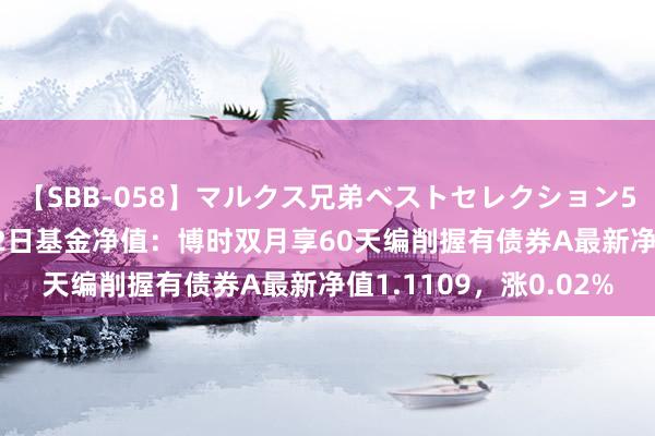 【SBB-058】マルクス兄弟ベストセレクション50タイトル4時間 8月2日基金净值：博时双月享60天编削握有债券A最新净值1.1109，涨0.02%