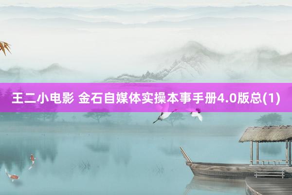 王二小电影 金石自媒体实操本事手册4.0版总(1)