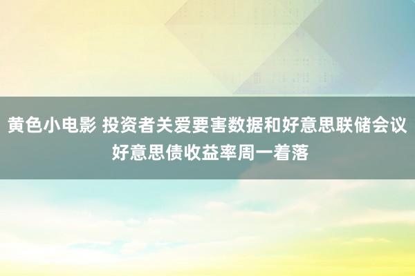 黄色小电影 投资者关爱要害数据和好意思联储会议 好意思债收益率周一着落