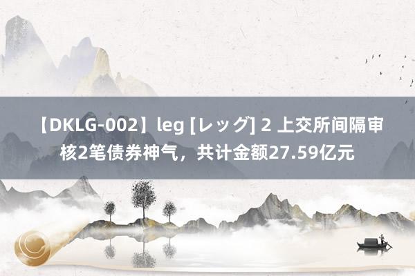 【DKLG-002】leg [レッグ] 2 上交所间隔审核2笔债券神气，共计金额27.59亿元