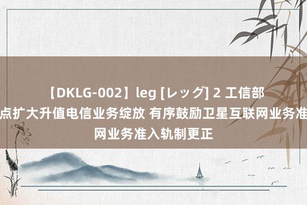 【DKLG-002】leg [レッグ] 2 工信部：进一步试点扩大升值电信业务绽放 有序鼓励卫星互联网业务准入轨制更正