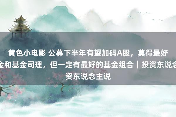 黄色小电影 公募下半年有望加码A股，莫得最好的基金和基金司理，但一定有最好的基金组合︱投资东说念主说