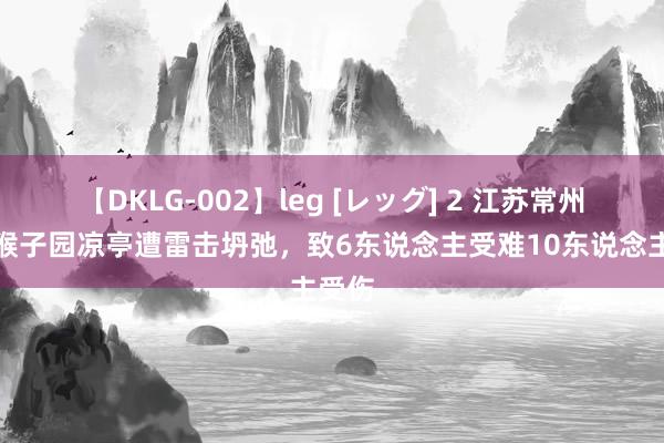 【DKLG-002】leg [レッグ] 2 江苏常州芳茂猴子园凉亭遭雷击坍弛，致6东说念主受难10东说念主受伤