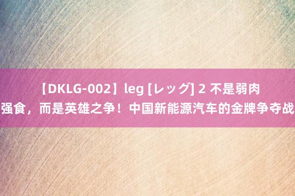 【DKLG-002】leg [レッグ] 2 不是弱肉强食，而是英雄之争！中国新能源汽车的金牌争夺战