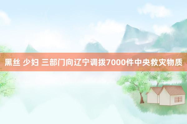 黑丝 少妇 三部门向辽宁调拨7000件中央救灾物质