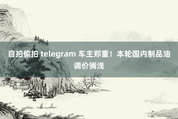 自拍偷拍 telegram 车主郑重！本轮国内制品油调价搁浅