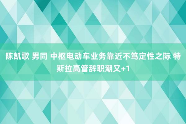 陈凯歌 男同 中枢电动车业务靠近不笃定性之际 特斯拉高管辞职潮又+1