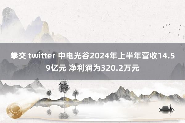 拳交 twitter 中电光谷2024年上半年营收14.59亿元 净利润为320.2万元