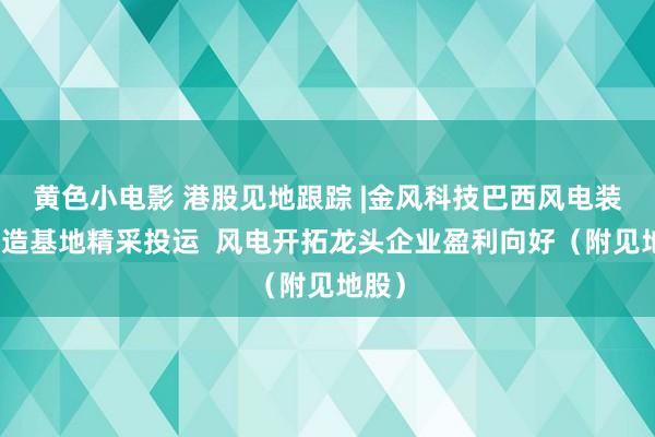 黄色小电影 港股见地跟踪 |金风科技巴西风电装备制造基地精采投运  风电开拓龙头企业盈利向好（附见地股）