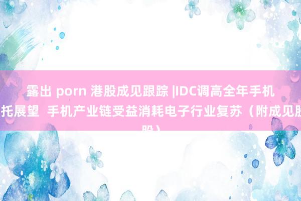 露出 porn 港股成见跟踪 |IDC调高全年手机请托展望  手机产业链受益消耗电子行业复苏（附成见股）