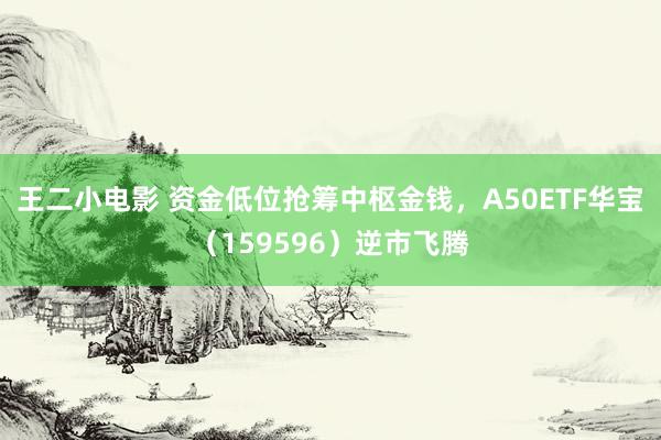 王二小电影 资金低位抢筹中枢金钱，A50ETF华宝（159596）逆市飞腾